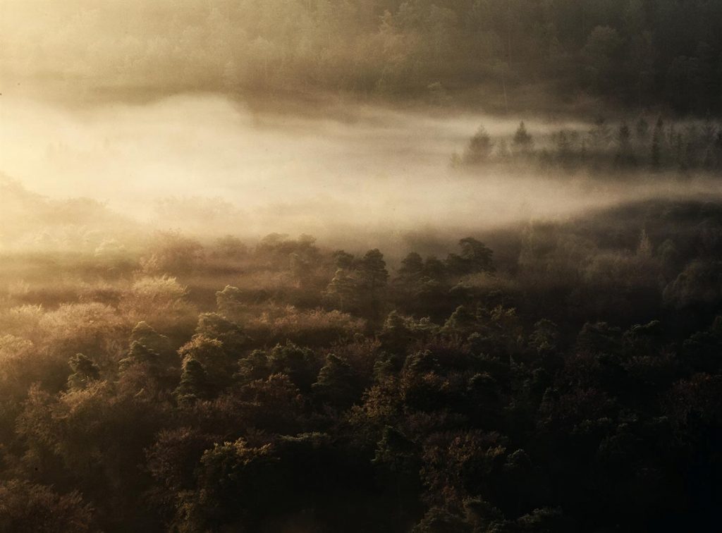 Nebel Landschaftsfotografie