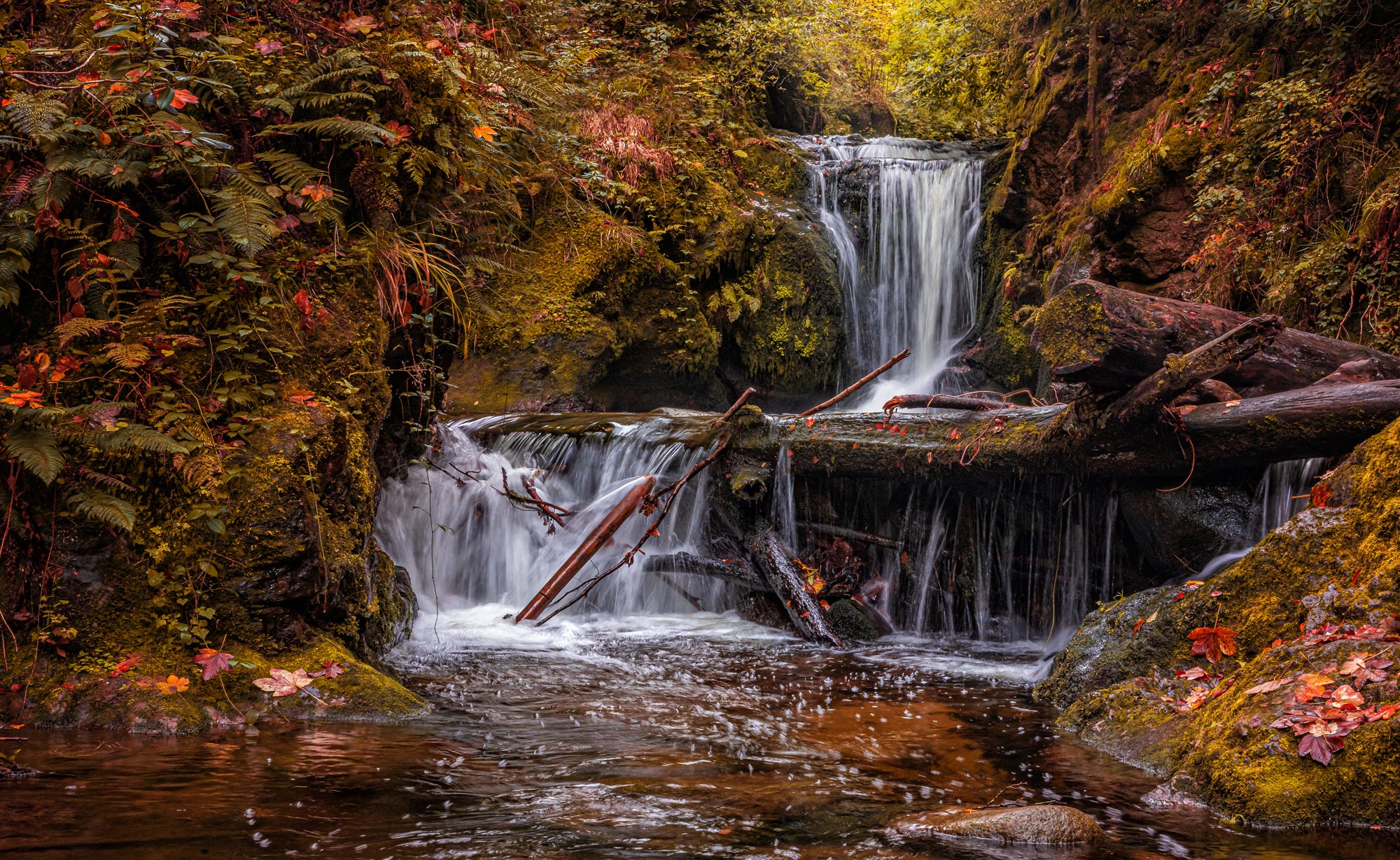 Rollei variabler ND-Filter