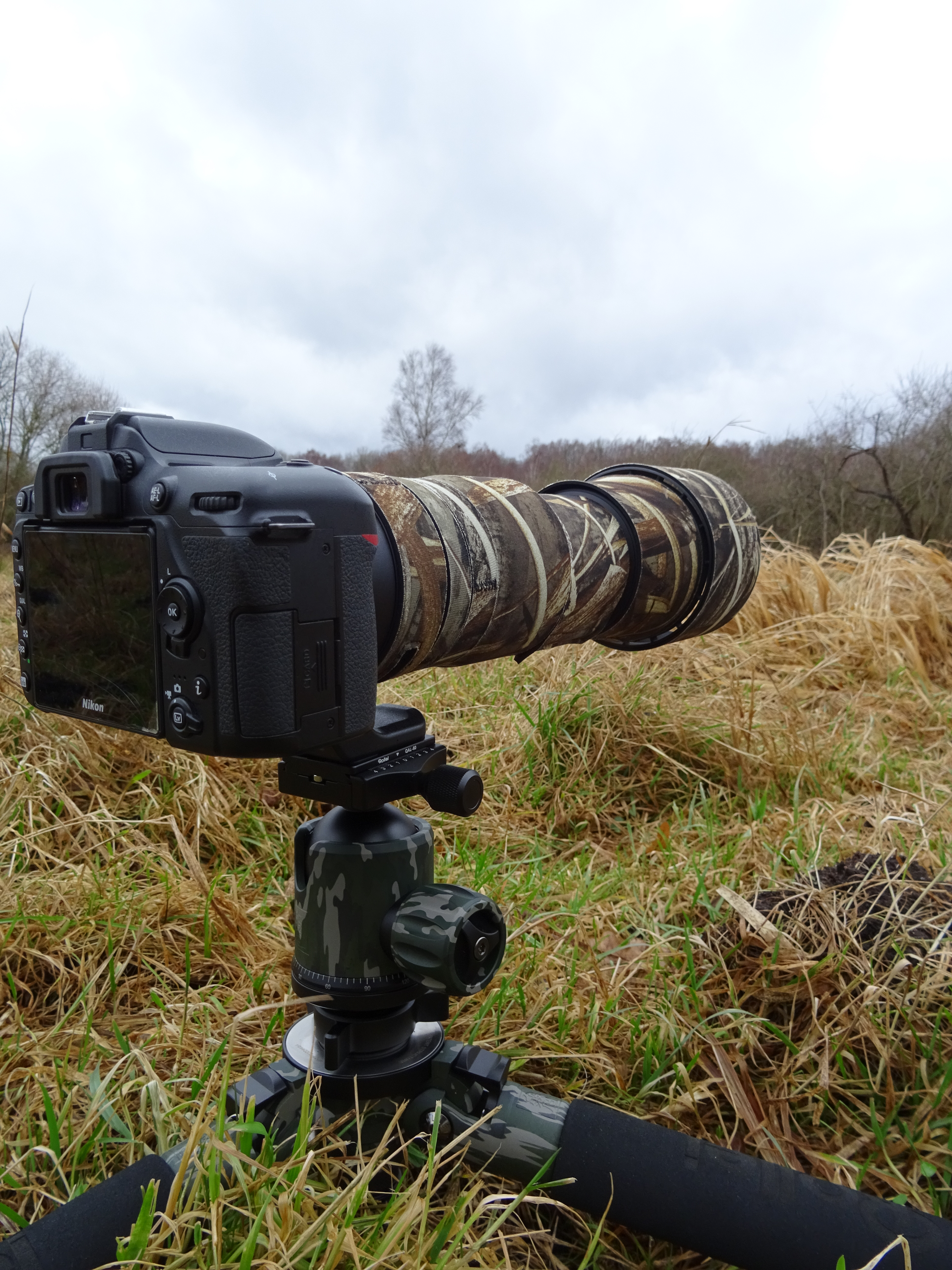 Wildlife-Fotografie mit dem Rollei Lion Rock 25 Camouflage Stativ