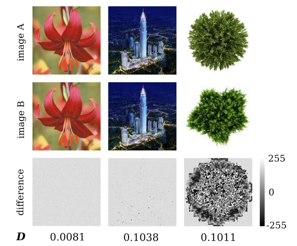 Image COmpression and computer vision