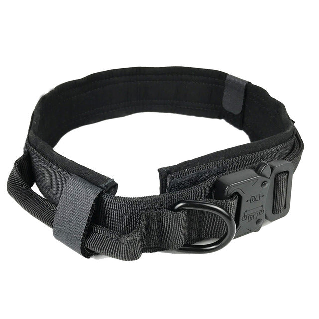 tactical dog collar