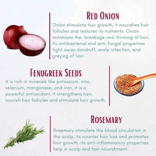 Buy Red Onion Hair Oil Regal Essence Online  Best Price Upto 50 Off   VedapureNaturals