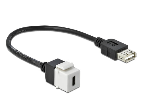 Keystone Module USB 2.0 C female > USB 2.0 A female with cable - delock.israel