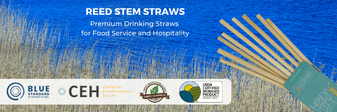 Eco-friendly Reed Stem Straws by Holy City Straw Co. displayed against a background of reeds with certifications from Blue Standard, Center for Environmental Health, and USDA Certified Biobased Product label for.png__PID:54496797-8d4c-4637-a406-6cd6339eb956