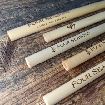 Four Season engraved straws 