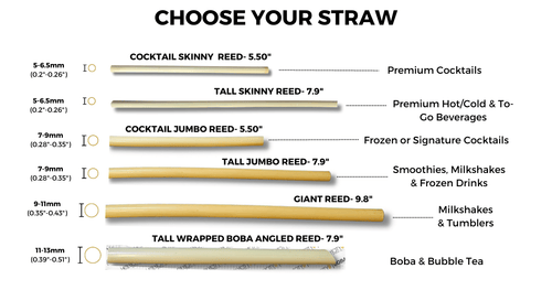 Selection chart of eco-friendly reed drinking straws by Holy City Straw Co, displaying various sizes and types for different drinks. Includes cocktail skinny reed, tall skinny reed, cocktail jumbo reed, tall jumbo reed, giant reed, and tall wrapped boba angled reed, with diameters ranging from 5-6.5mm to 11-13mm. Recommended uses are for premium cocktails, hot/cold beverages, frozen drinks, smoothies, milkshakes, and bubble tea.