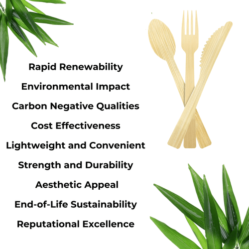 Superior-nature-of-bamboo-cutlery (2).png__PID:38be453c-ff3e-484d-b86b-ad887d486e6b
