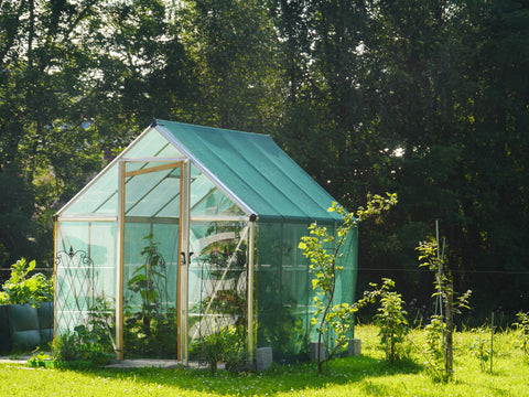Greenhouse in summer