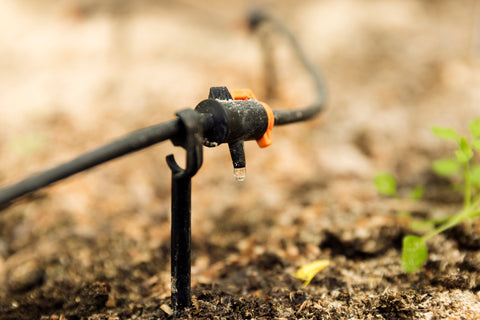 Watering system in greenhouse