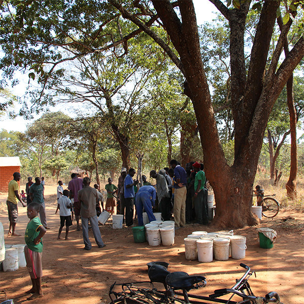 African Bronze Honey Beekeeping