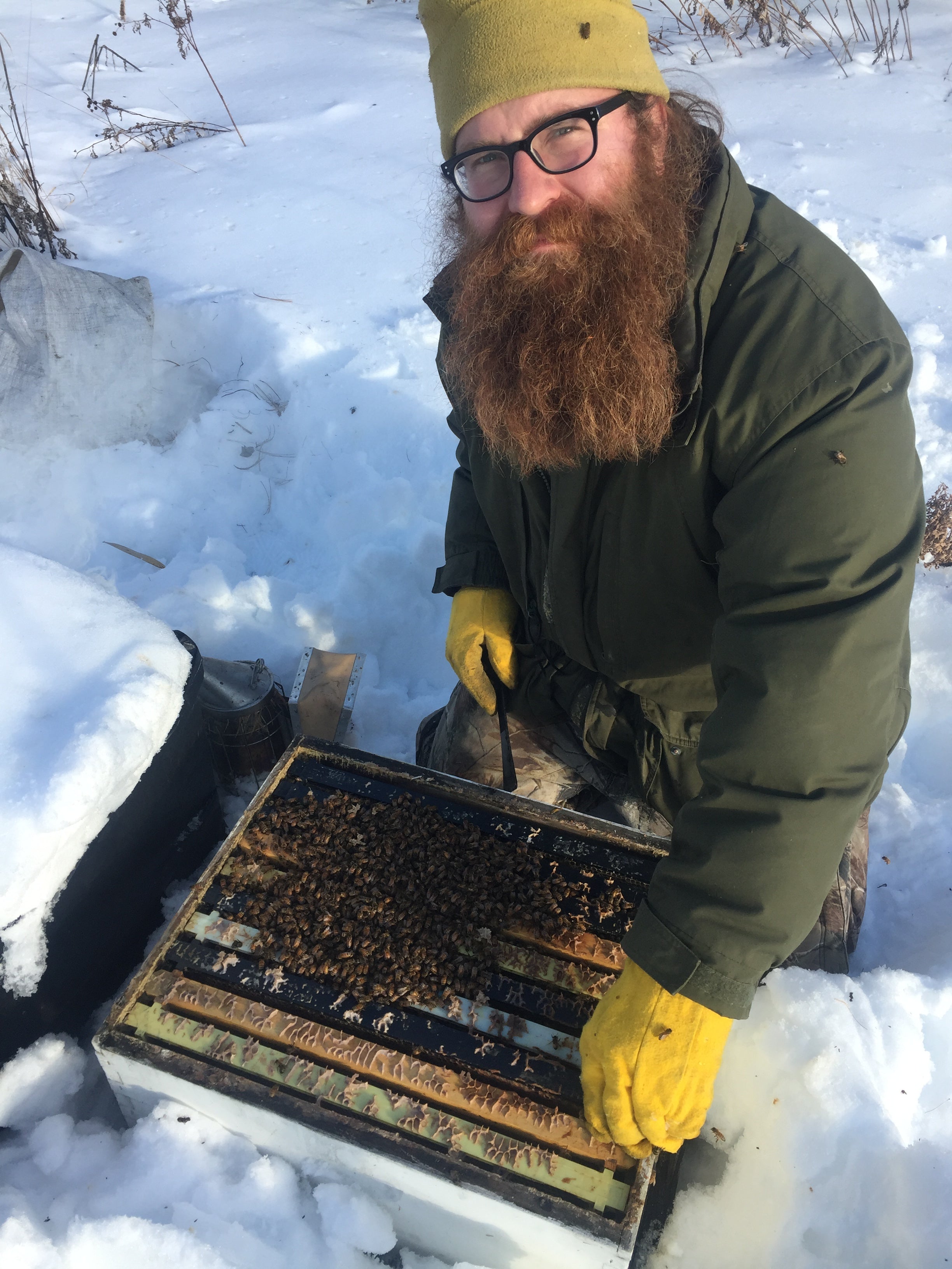 Spring-Made 4 Frame MN Hardy Starter Colonies - Bolton Bees &amp; Honeys