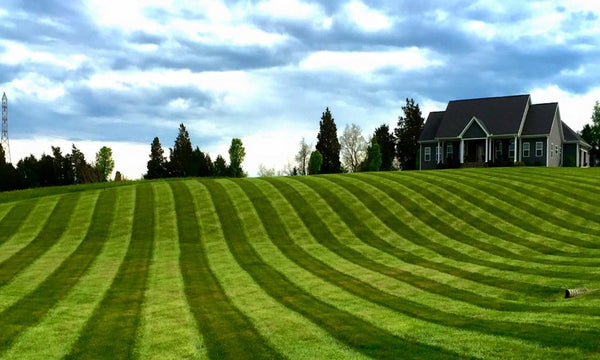 Lawn Maintenance and Landscaping