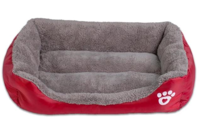 colorful dog beds