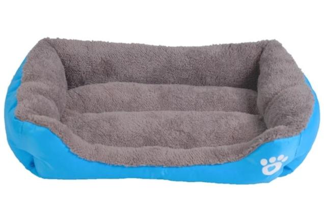 colorful dog beds