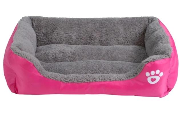 colorful dog beds