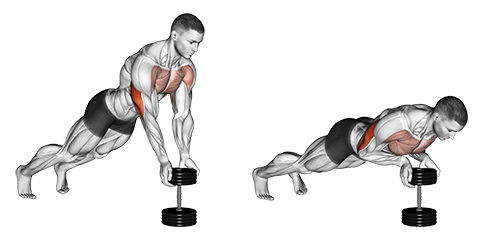 Close Grip Dumbbell Pushup