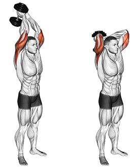 Triceps Exercise 