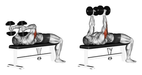 Triceps Gravity Press