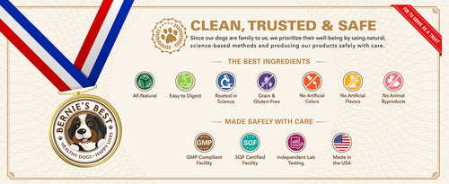 Clean, Trusted & Safe Infographic_1464x600.jpg__PID:9ee27f66-1f09-4e1a-a5db-5ca96bb02e81