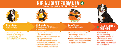 Hip & Joint Formula. Support for Healthy Mobility and Comfort.