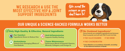 We Research & Use the Most Effective Hip & Joint Support Ingredients.