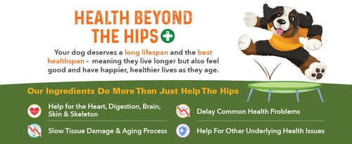 Health Beyond the Hips.