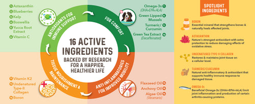 16 Active Ingredients backed by Research for a Happier, Healthier Life.
