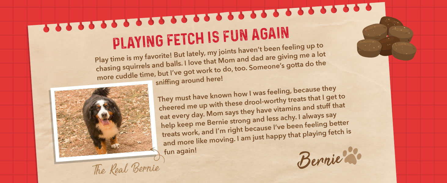 Playing fetch is fun again.