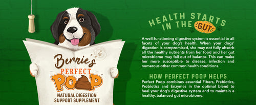 Health starts in the gut, and Bernie's Perfect Poop can help.