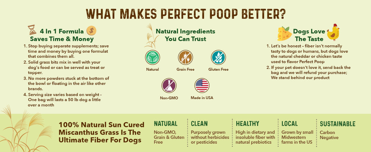 Save time and money, enjoy natural ingredients you can trust, know that dogs love the taste.