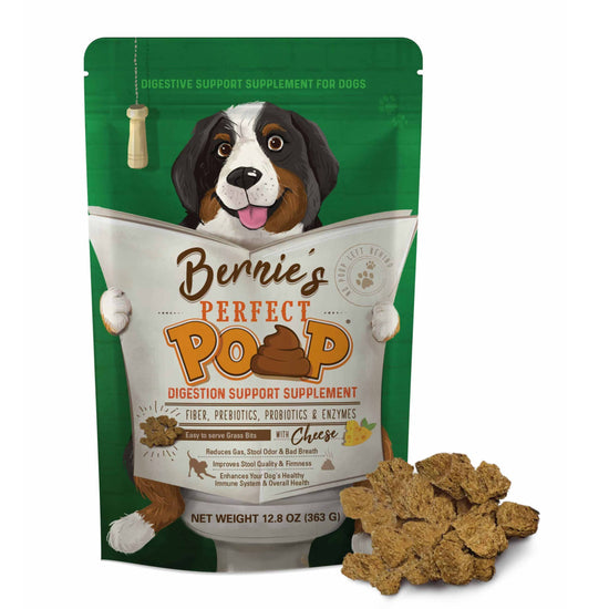 My Dog Just Yakked! What To Feed Dogs After Vomiting - Bernie'S Best, Inc.