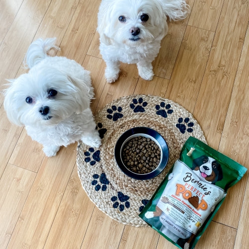 Photo of two small white dogs eating Bernie's Perfect Poop.