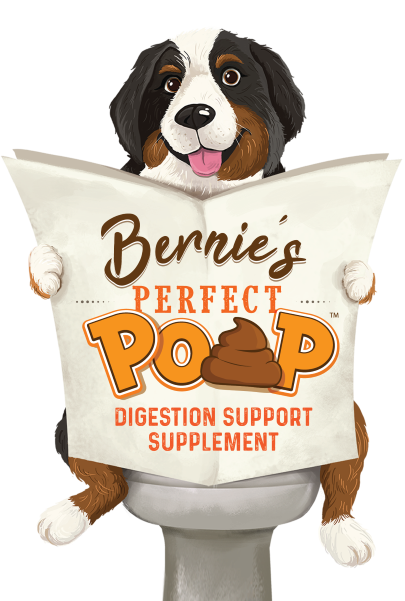 Bernie on The Foilet Bernie's Perfect Poop - Digestion Support Supplement