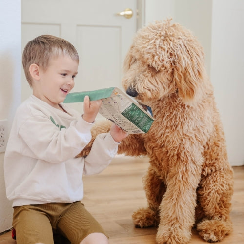 Photo of a child sitting with a labradoodle.