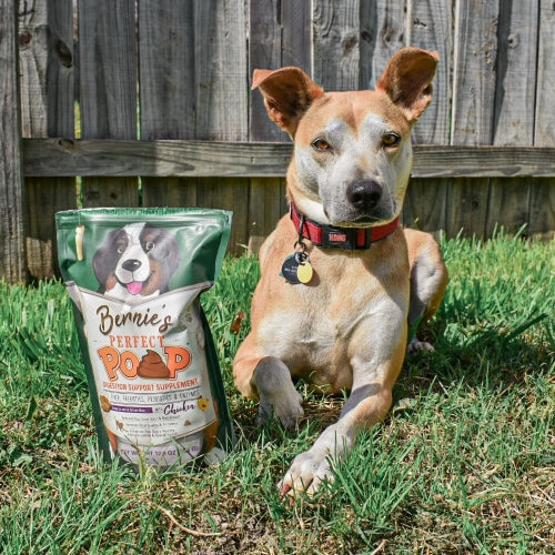 Photo of a dog laying on grass next to a bag of Bernie's Perfect Poop.