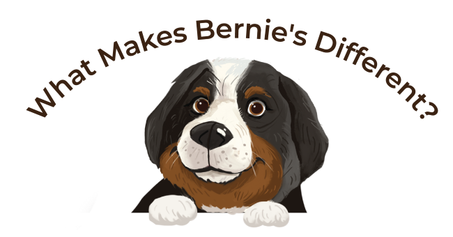 What Makes Bernie's Different? What Makes Bernie's Different?