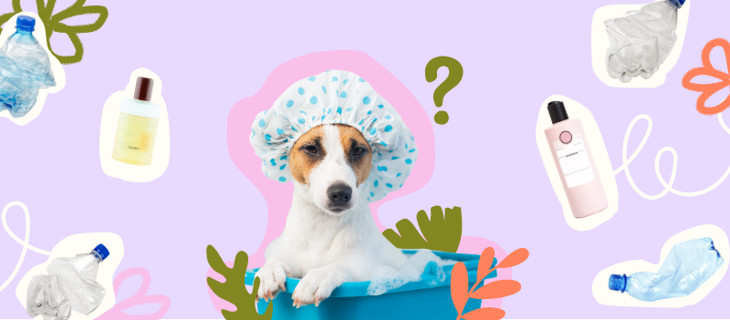 Jack Russel dog with a shower cap on with plastic bottles surrounding it with white outlines