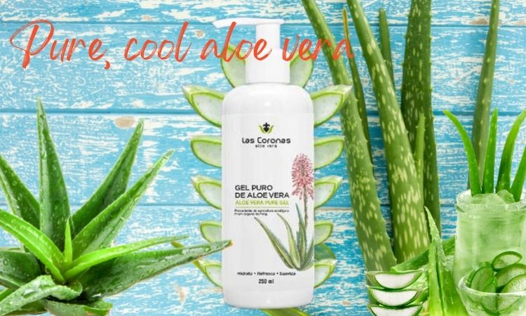 Pure aloe vera gel for after sun care, natural and organic