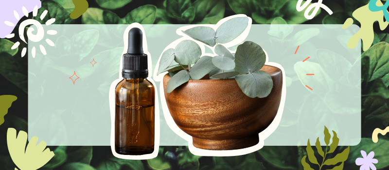 Eucalyptus essential oil with cartoon graphics