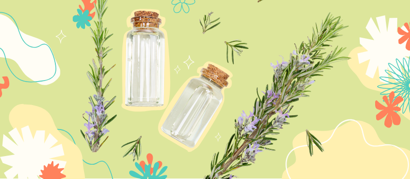 Rosemary essential oil with cartoon graphics on green background