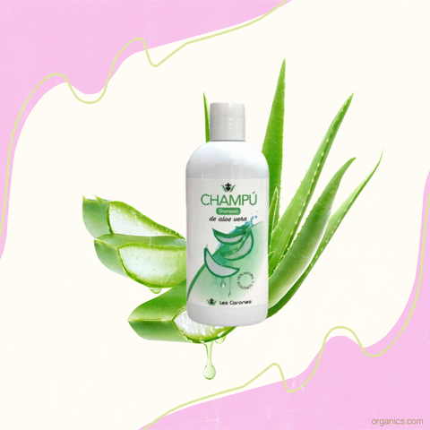 Organic aloe vera shampoo perfect for sensitive skin.