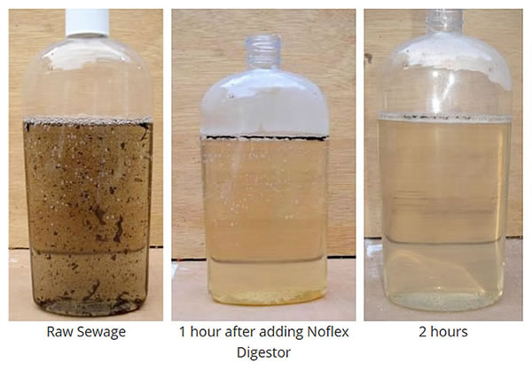 RV Holding Tank Treatment