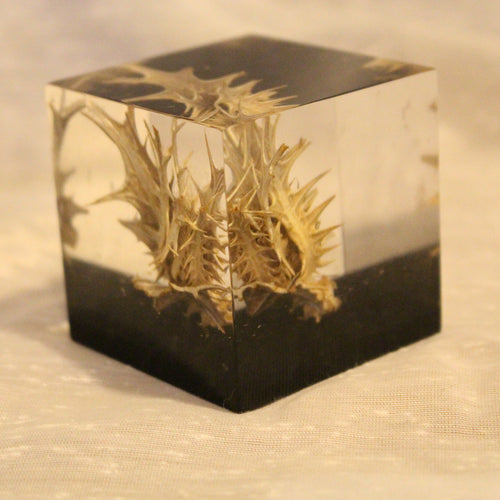 SOLD! Vintage Lucite Paperweight/Ornament