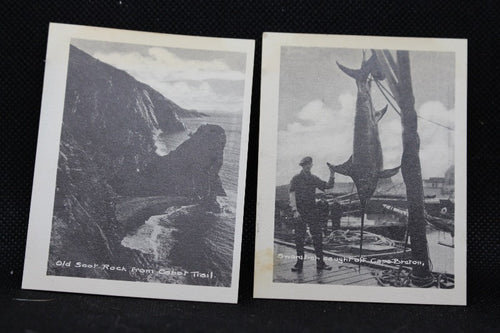 Vintage Lot of 20 Cape Breton, Nova Scotia Black and White Mini Postcards 1955, Never Used