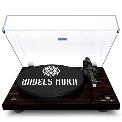 5 Most Affordable Record Player Needles for Advanced Players - – AngelsHorn