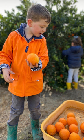 Child picking fruit in orange raincoat