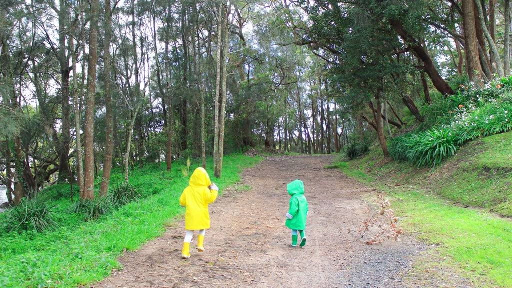 Kids wearing rainwear going on a bush walk