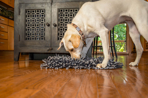 Paw5 Wooly Snuffle Mat Is One of the Best Dog Toys I've Bought