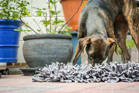 This snuffle mat mimics grass so dogs can hunt for treats and