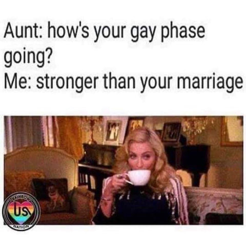 Best gay and lesbian memes, aunt meme